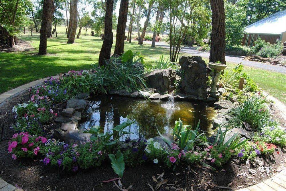 Clarendon Chalets Mount Gambier Bagian luar foto